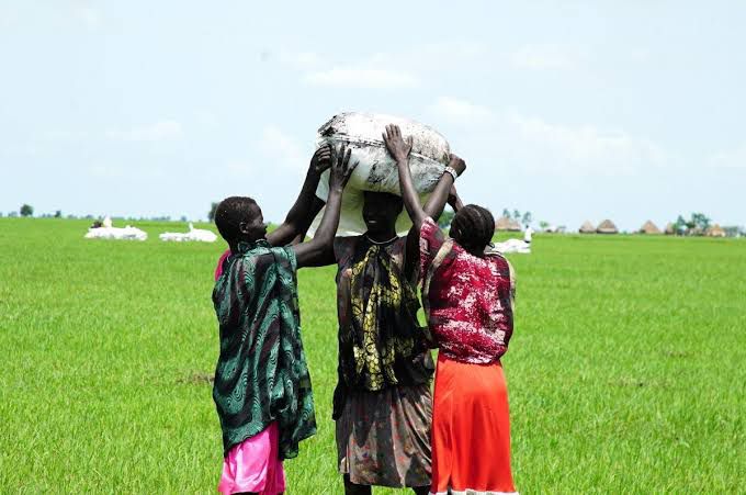 WFP Launches Emergency Airdrops in South Sudan Amid Worsening Hunger Crisis