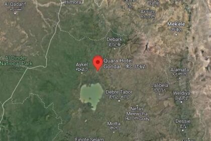 OLA Seizes Territory in Metekel and Kamashi as Atrocities Mount