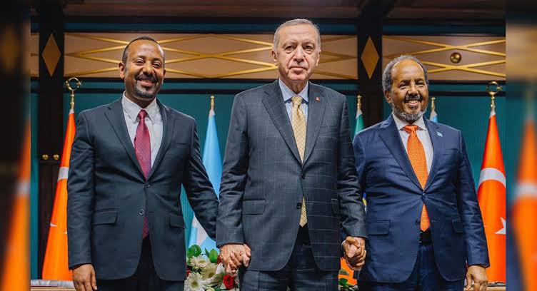 Somalia-Ethiopia Maritime Deal Reportedly Collapses as Mogadishu Warms to Cairo, Ankara