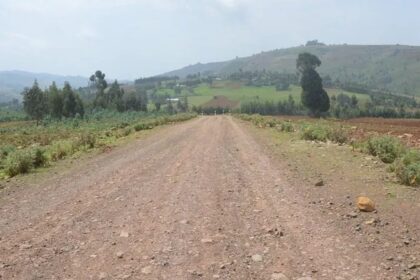 At Least 14 Killed in Brutal Armed Attack in West Shoa, Ethiopia