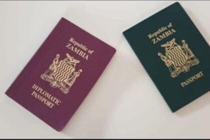 Zambia Urges Undocumented Nationals in the US to Return Voluntarily