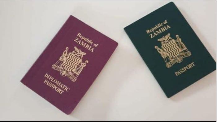 Zambia Urges Undocumented Nationals in the US to Return Voluntarily