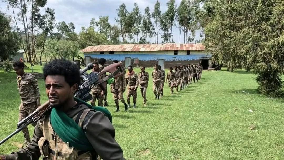 Ethiopia: Fano claims to kill over 100 soldiers, seize town in Amhara