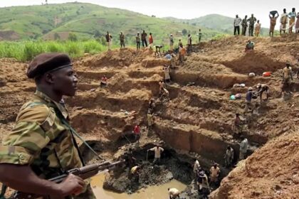 Illicit Economy Fuels Armed Groups and Instability in East Africa