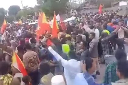 Protests Erupt in Raya Maichew Over Tigray Interim Appointments