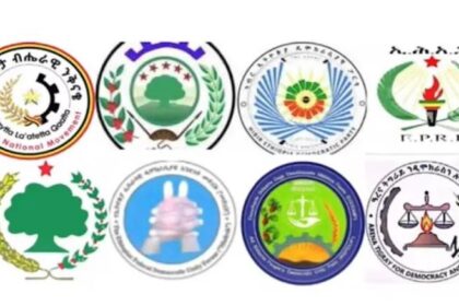 Ethiopian Opposition Urges Mass Protests to Avert National Collapse