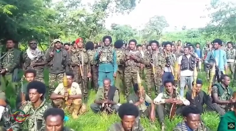 Fano Forces Claim Killing of Senior Military Commander in Gondar Ambush