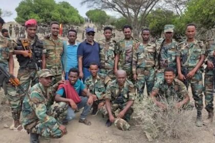 Tigray Interim Government Blames ‘Hara Meret’ Group for Armed Attack