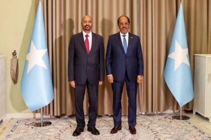 Ethiopia Appoints New Ambassador to Somalia as Diplomatic Relations Normalize