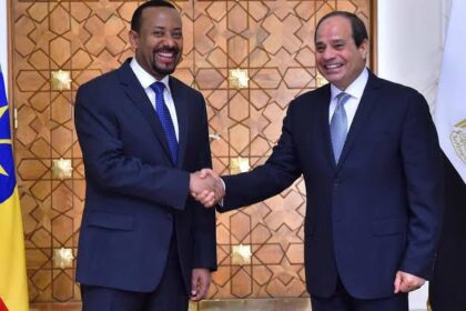 Sisi: Water Dispute Part of Pressure Campaign Against Egypt