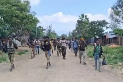 Fano Forces Claim Fresh Gains in Metekel, Gov’t Remains Silent