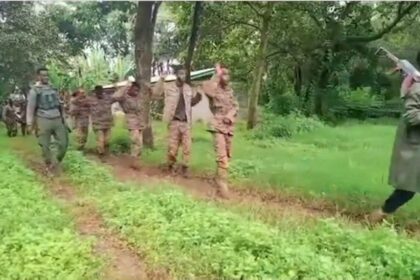 Fano Claims Killing 103 Soldiers in North Gondar Ambush, Multiple Clashes Reported in Amhara