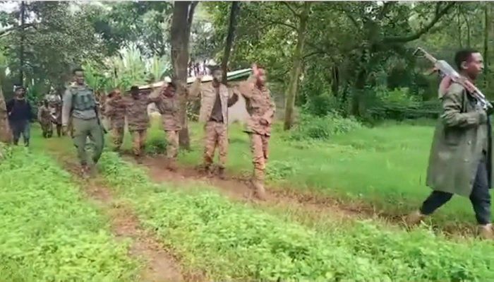 Fano Claims Killing 103 Soldiers in North Gondar Ambush, Multiple Clashes Reported in Amhara