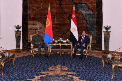 Egypt's Sisi, Eritrea's Afwerki discuss Red Sea security, regional stability