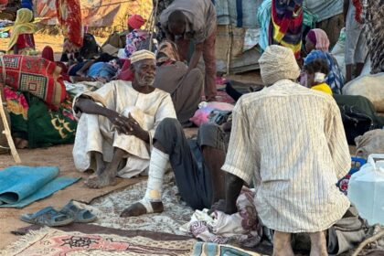 Sudan's El-Fasher Horror- Reports Detail RSF Killing Hundreds, Including Hospital Patients, in