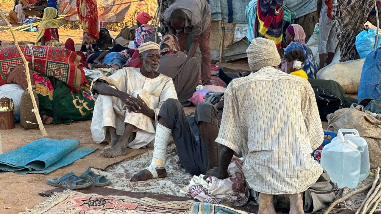 Sudan's El-Fasher Horror- Reports Detail RSF Killing Hundreds, Including Hospital Patients, in