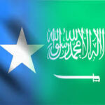 Saudi Arabia’s Strategic Responsibility in Safeguarding Somalia’s Unity and Red Sea Security