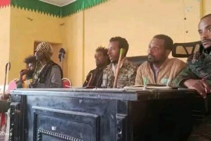 Ethiopia’s Amhara Fano National Movement Seizes 20 Districts Fano Forces Consolidate Power Following Strategic Gains in Amhara