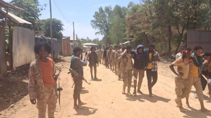 Amhara Fano National Movement captures 520 troops in large-scale offensive in Ethiopa