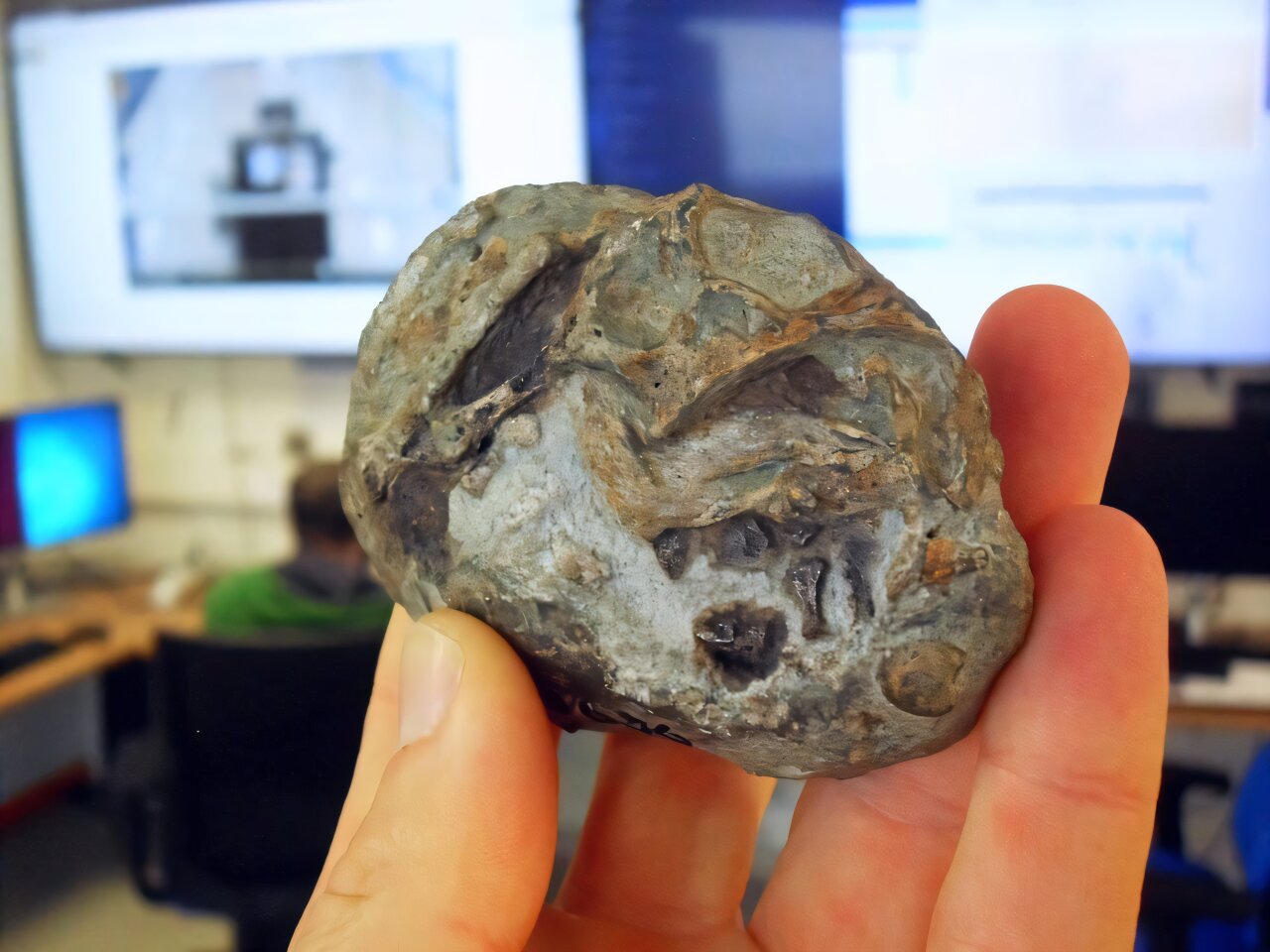 embryo fossil found in 1