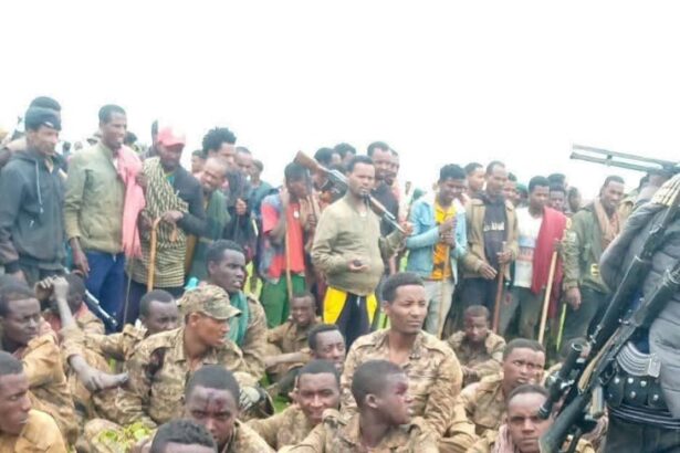 Ethiopia Amhara Fano rebels claim 150+ ENDF deaths in 8-day Gojjam battle