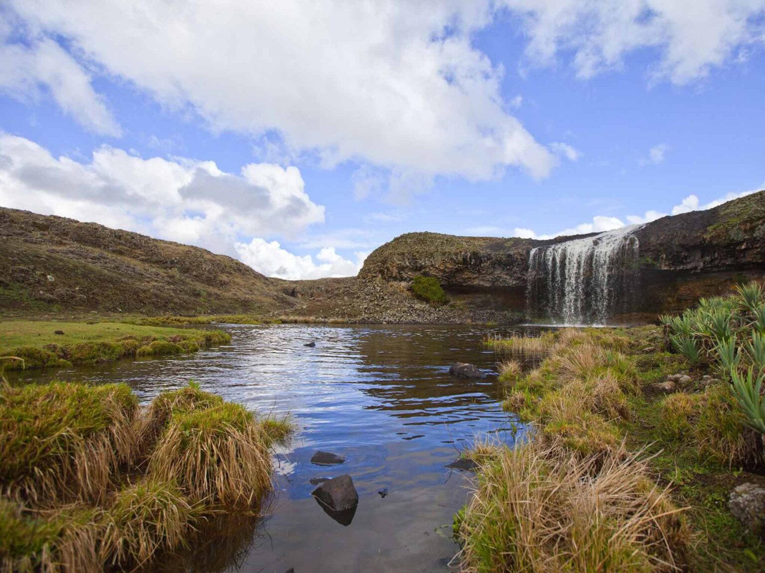 Ethiopia trials digital wildlife monitoring system across 106 protected areas