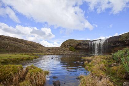 Ethiopia trials digital wildlife monitoring system across 106 protected areas