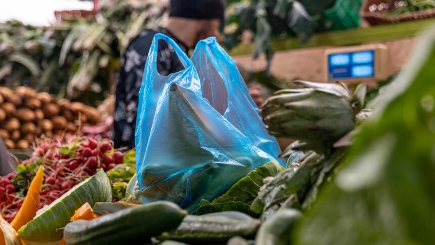 Tunisian lawmakers propose nationwide ban on single-use plastic bags within one year