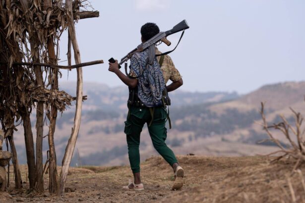 Amhara Fano forms alliance with Tigray, Oromo and Somali forces to overthrow Ethiopia PM Abiy Ahmed, says Zemene Kassie