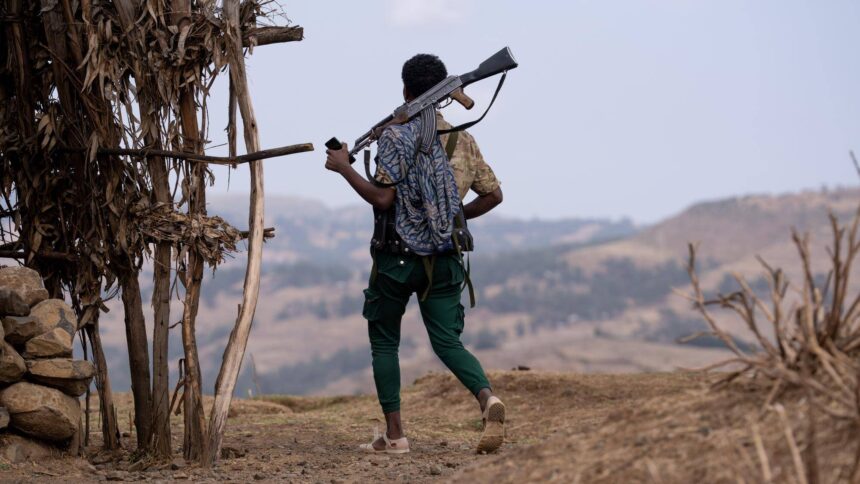 Amhara Fano forms alliance with Tigray, Oromo and Somali forces to overthrow Ethiopia PM Abiy Ahmed, says Zemene Kassie