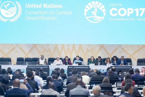 Delegates agree to develop Business4Land platform, Mongolia launches rangelands initiative at COP17