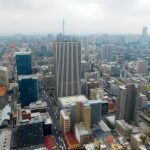 Johannesburg 2016 CC BYAdamina210125 040158