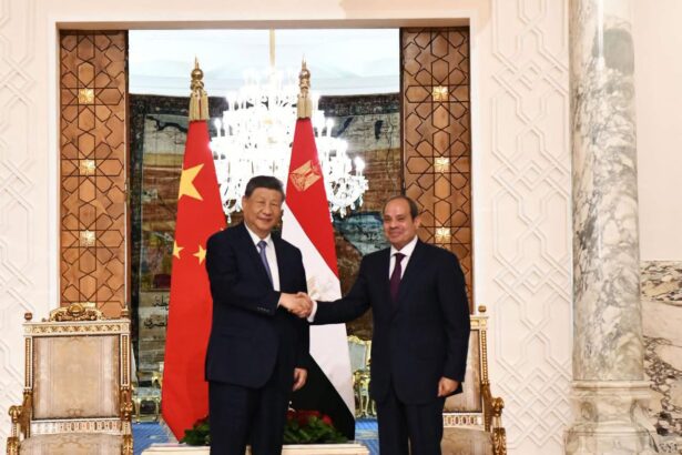 Egypt and China assert Red Sea security belongs to littoral states during Xi's Cairo visit