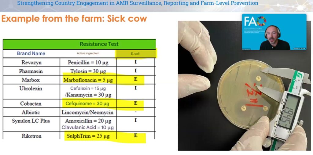 AMR Regional Webinar 4