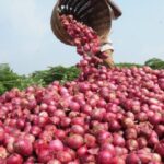 oNIONS