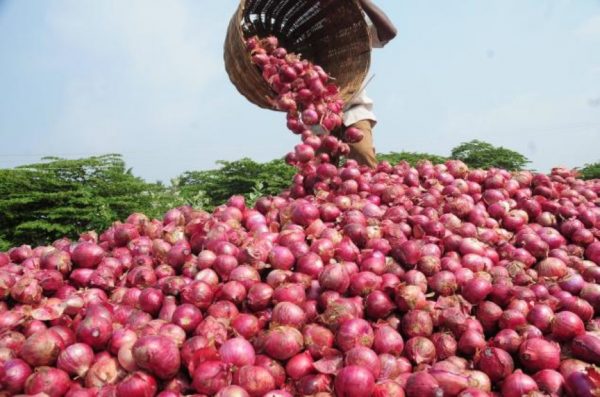 oNIONS