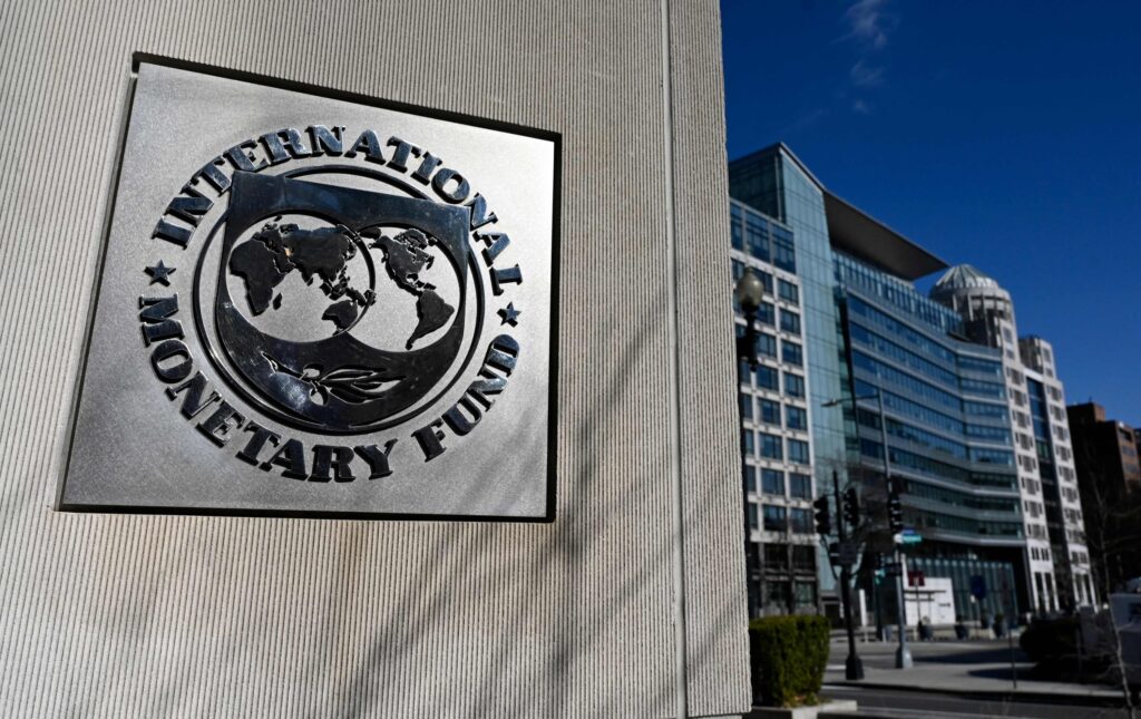 Zambia, Niger Turn to IMF for Fresh Financing as Debt Risks Persist: Economist Dumebi Oluwole Tells DNE Africa