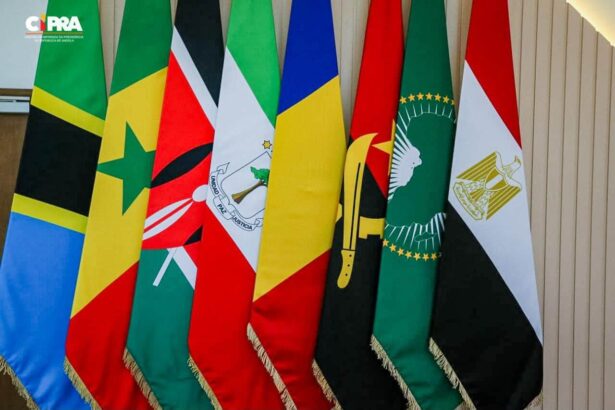 AUDA-NEPAD marks 25 years as African leaders call for financial independence and self-reliance AUDA-NEPAD marks 25 years as African leaders call for financial independence and self-reliance
