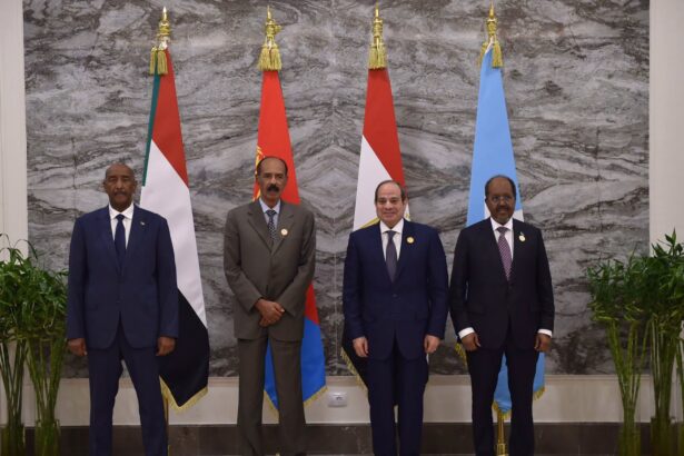 Drawing regional red lines: Egypt, Eritrea, Sudan, and Somalia forge new bloc to counter Red Sea, Nile, and territorial threats