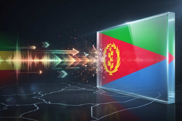 Eritrea Accuses Ethiopia of Fabricating Self-Defence Claims to Camouflage Red Sea War Agenda