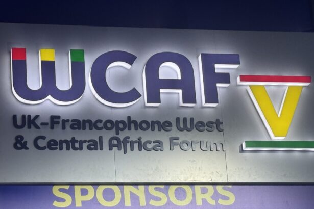 WCAF V: AfDB, UKEF Sign MOU to Mobilise Financing for Africa